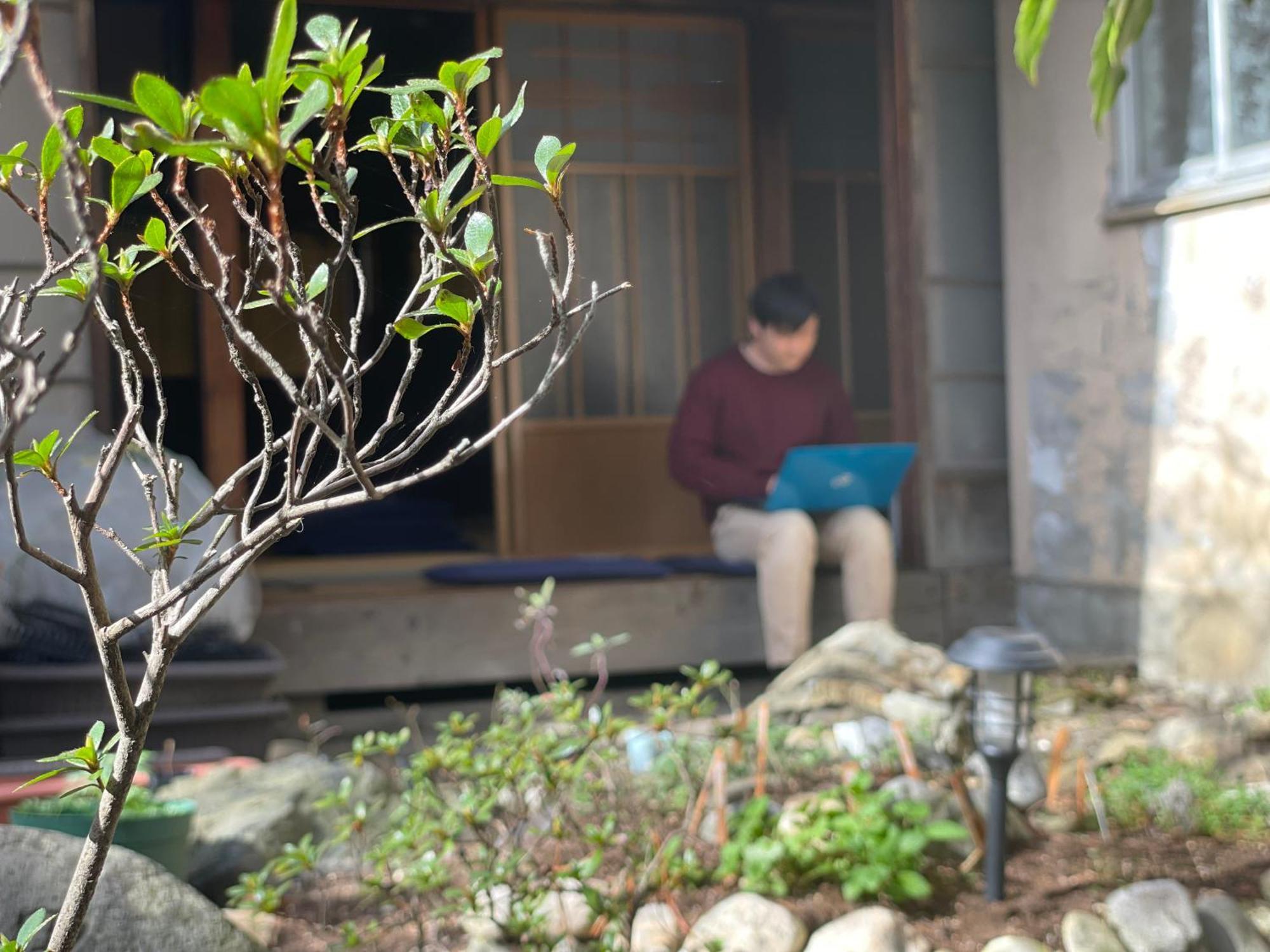 北アルプス麓のゲストハウス林屋 Омати Экстерьер фото